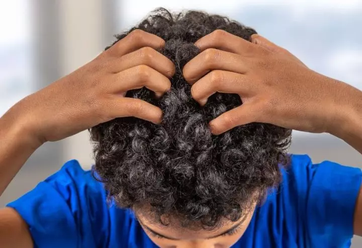 featuredimage-hild-scratching-head-due-to-lice-itchiness.jpg
