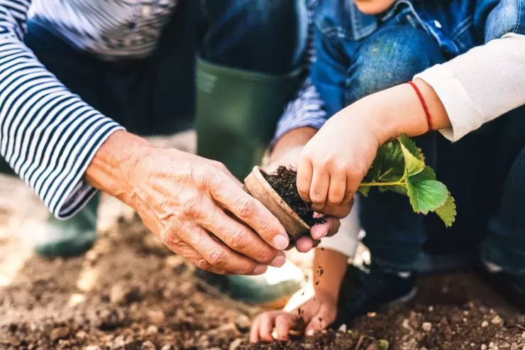 Social Benefits of Gardening
