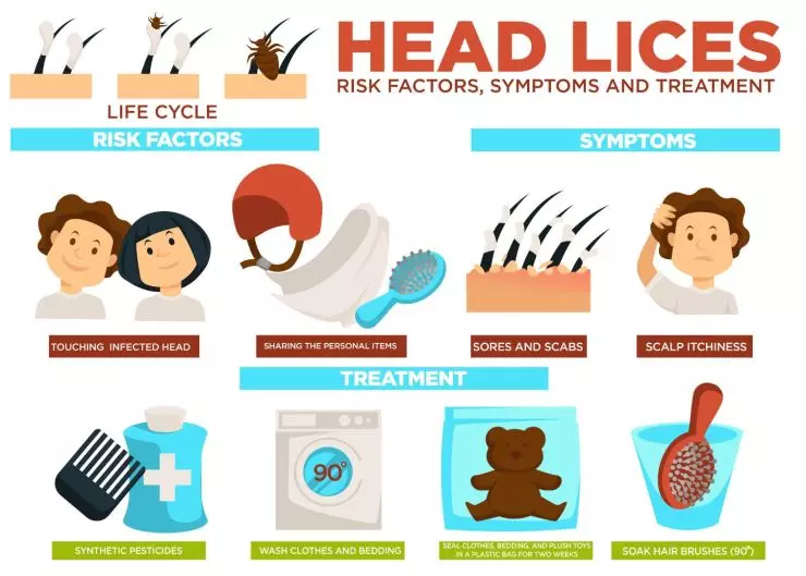 Image 3-head-lice-symptoms-risk-factors-treatment-infographic.jpeg
