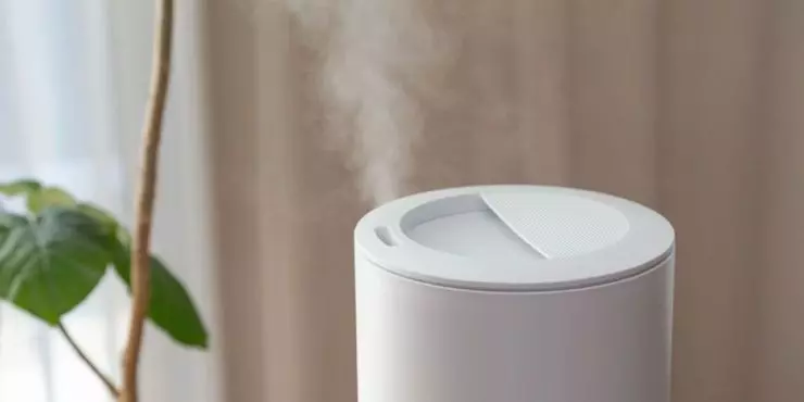 Humidifier for home relief during cold and ear infection