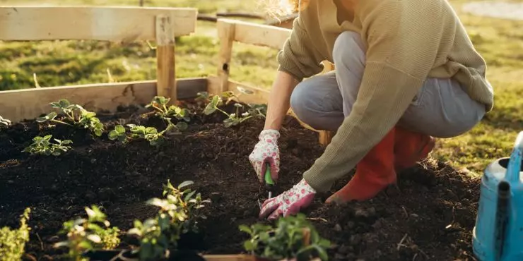 Health Benefits of Gardening