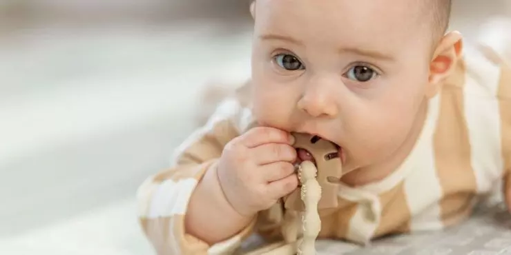 Infant teething and soothing gums with toy