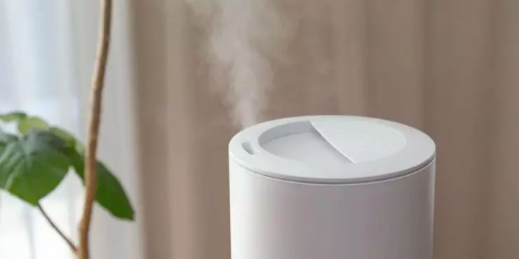 Humidifier for treating viral respiratory symptoms